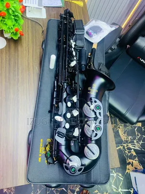 Yamaha Alto Saxophone Custom Ex Model