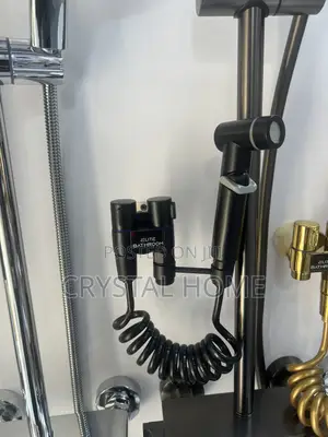 Black Bidet With Tee Tap
