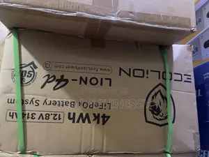 4kw 12v Ecolion Lithuim Battery