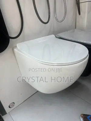 Conceal Water Closet,wall Mounting W/C