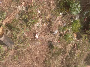 100 Hectares at Karasana North for Sale