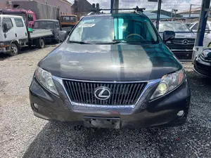 Lexus RX 350 2010 Gray