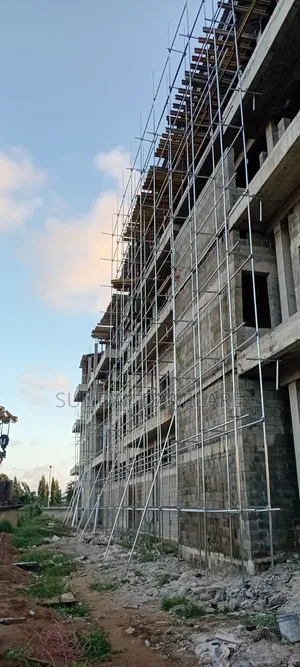 Scaffold Installation and Maintenance