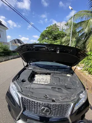 Lexus RX 2010 Black