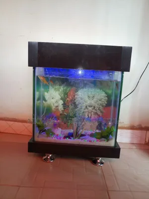 Aquarium Fish Tank
