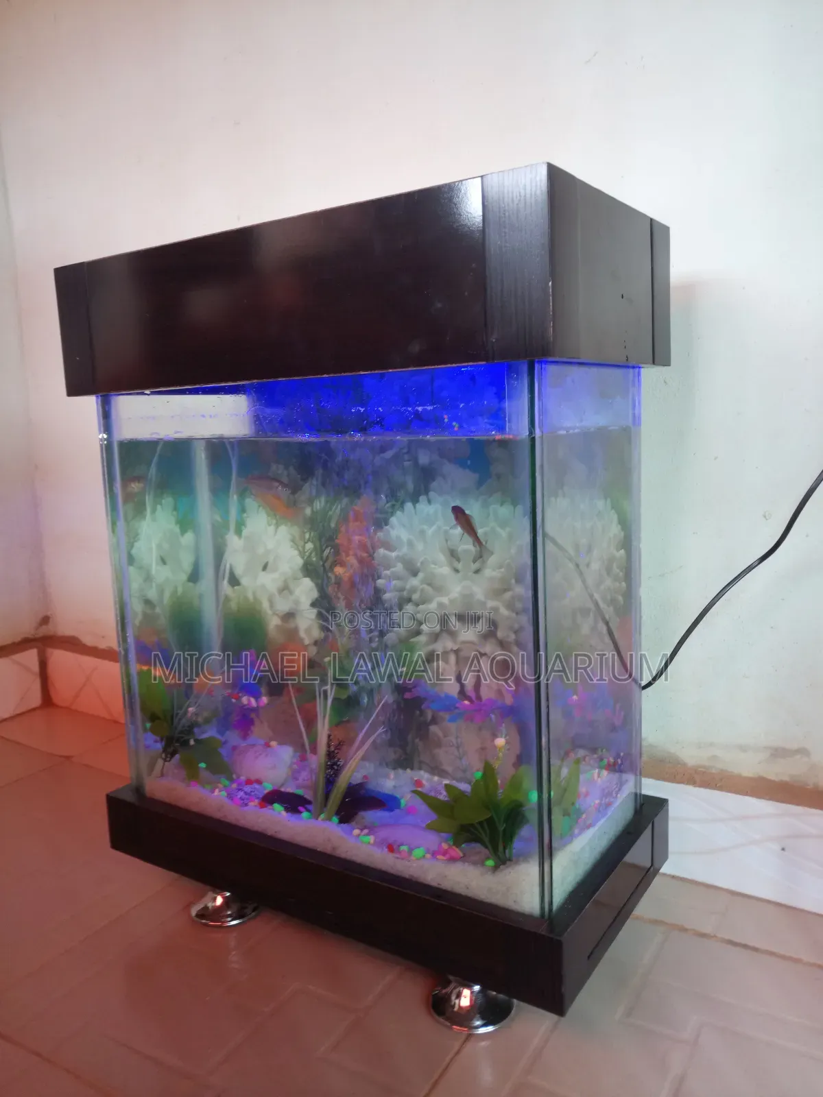 Aquarium Fish Tank