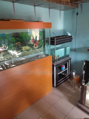 Aquarium Fish Tank