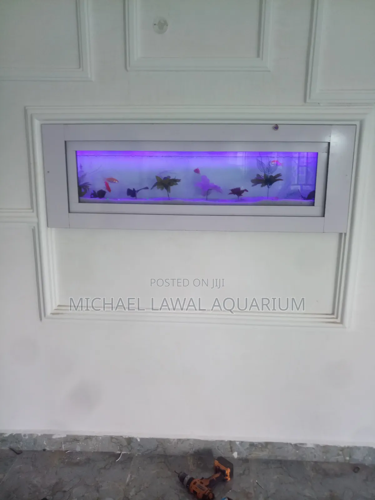 Aquarium Fish Tank