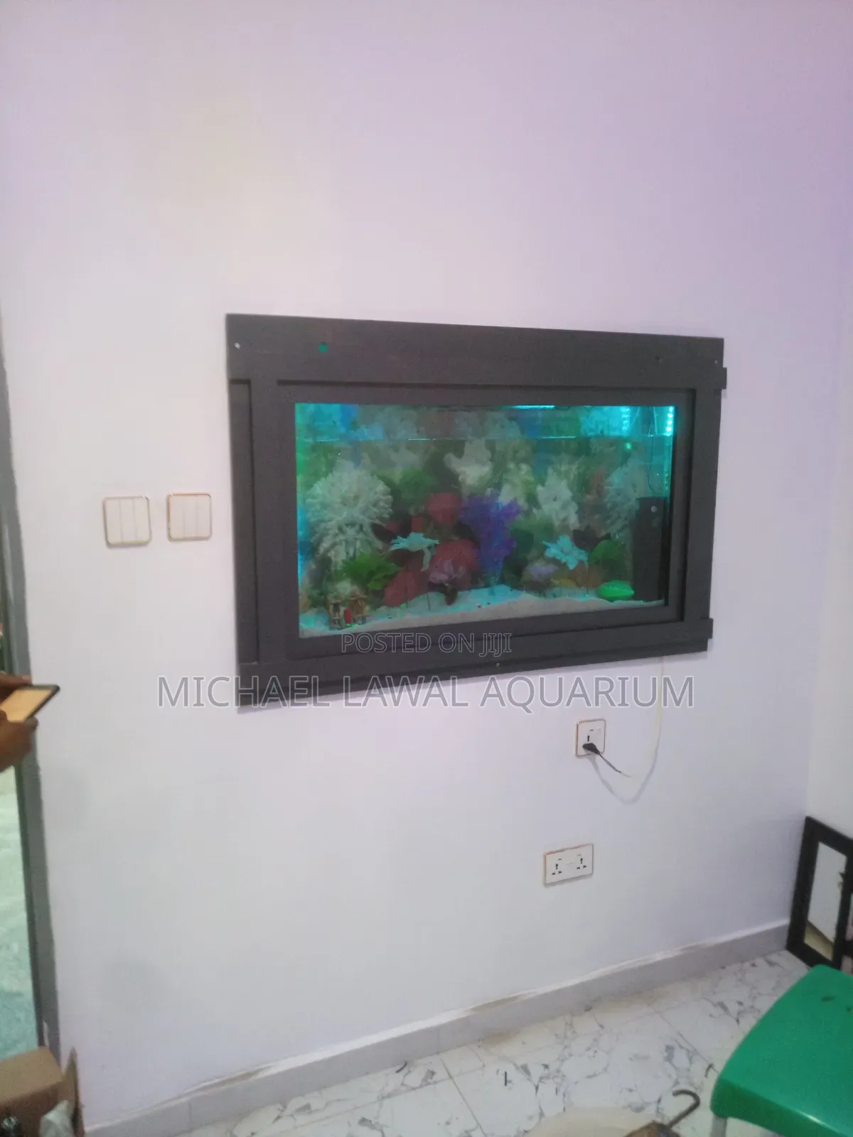 Aquarium Fish Tank