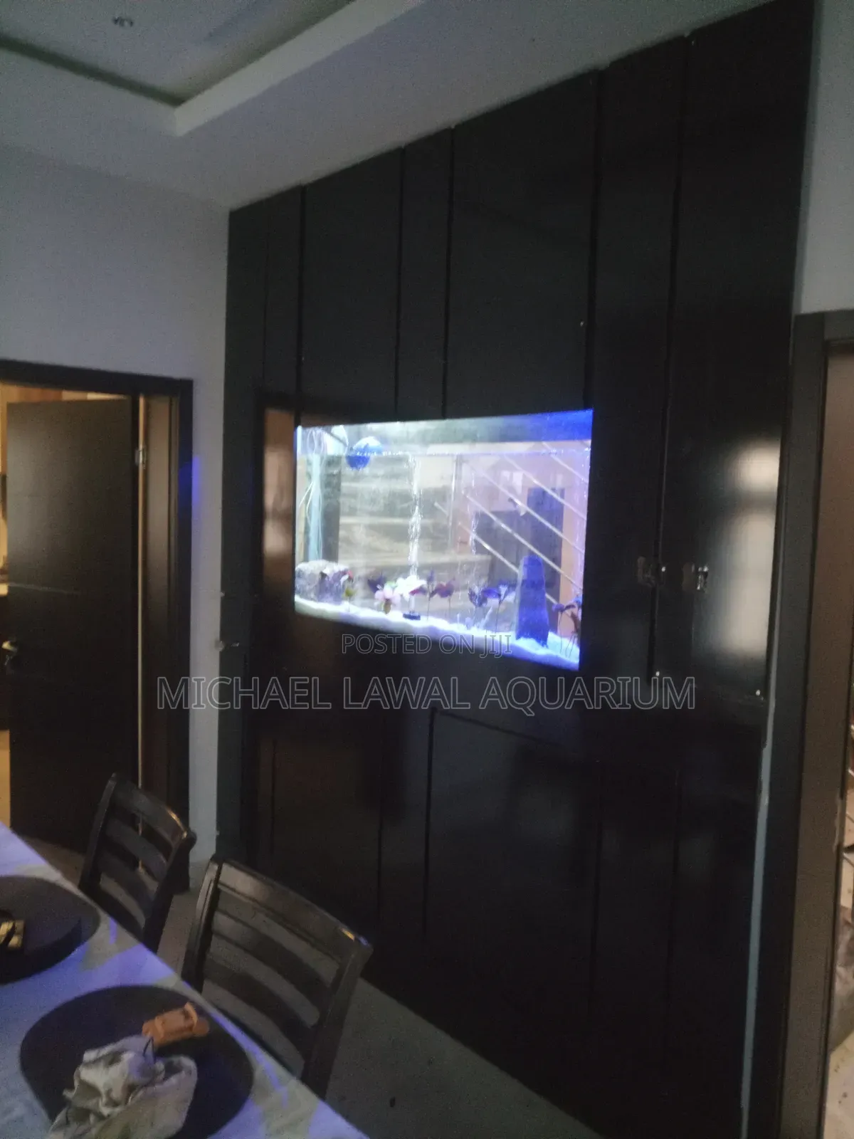 Aquarium Fish Tank