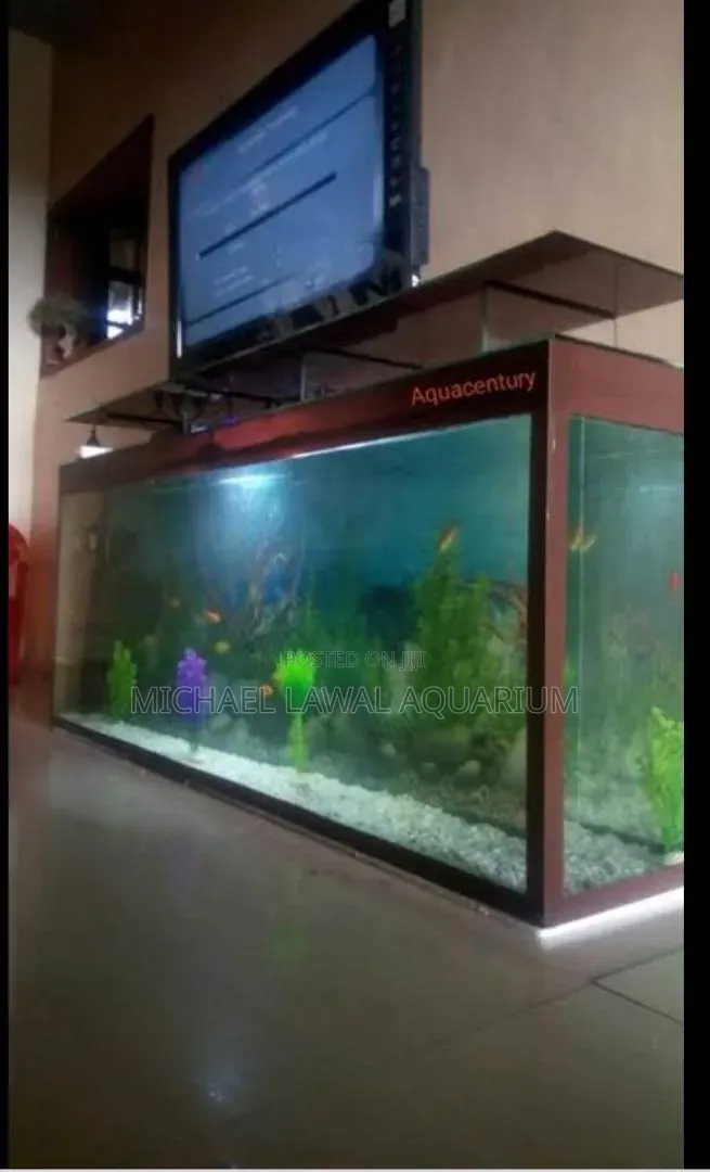 Aquarium Fish Tank