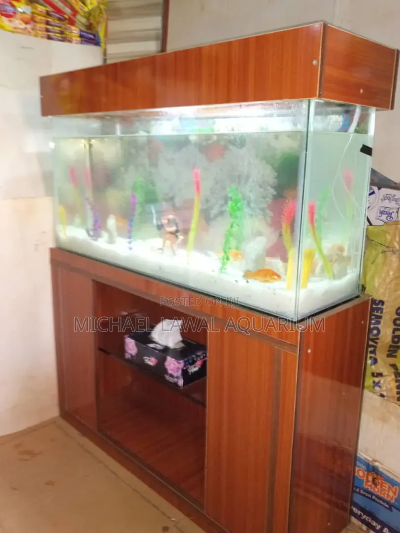 Aquarium Fish Tank