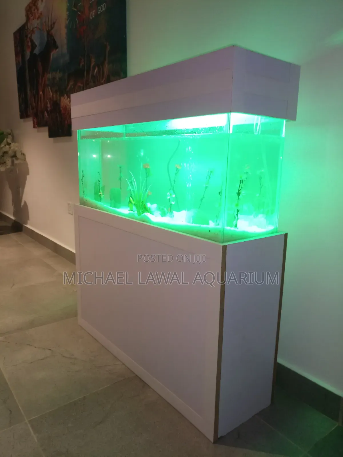 Aquarium Fish Tank