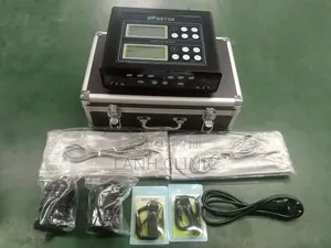 Ionic Foot Detox Machine