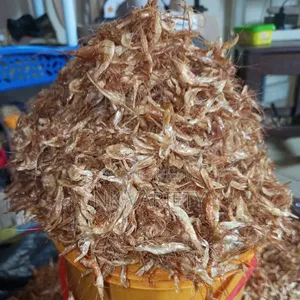 Clean Oron Crayfish – Sweet, Large Seed & Sand-Free (Asaba/Okpanam)