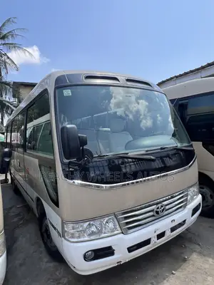 Toyota Coaster 2017 Brown