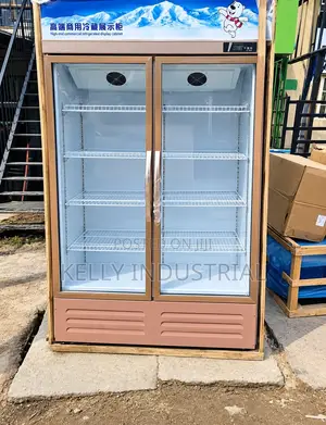 Double (2) Door Display Chiller (3 Doors Also Available)