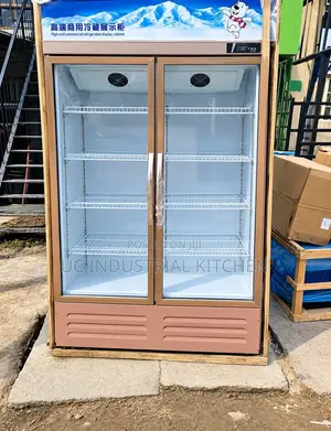 Double (2) Door Display Chiller (3 Doors Also Available)