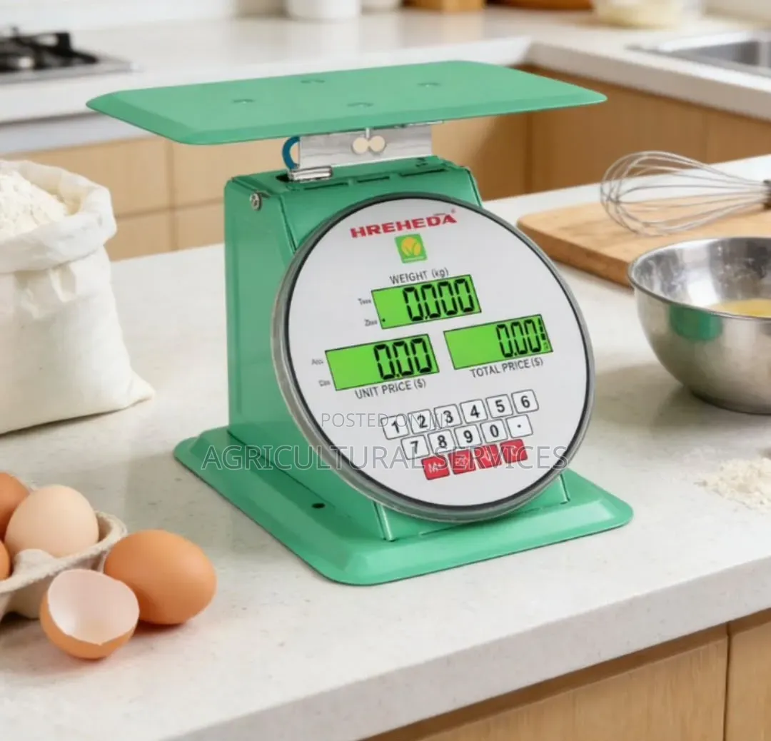 Electronic Dial Scale
