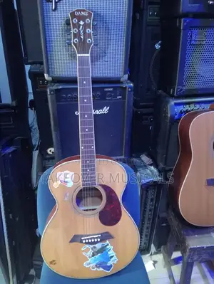Acoustic Guitar