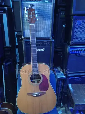 Acoustic Guitar