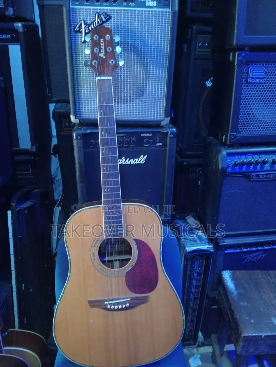 Acoustic Guitar