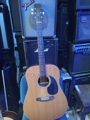 Acoustic Guitar