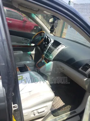 Lexus RX 2009 Gray