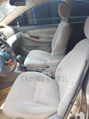 Toyota Corolla 2004 Gray