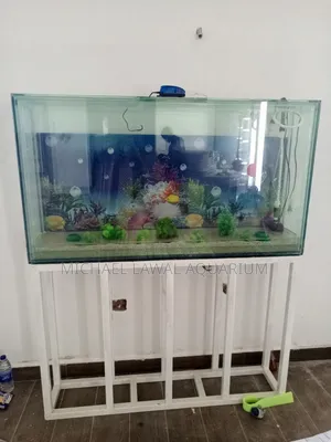 Aquarium Fish Tank