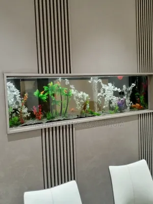 Aquarium Fish Tank