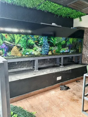 Aquarium Fish Tank