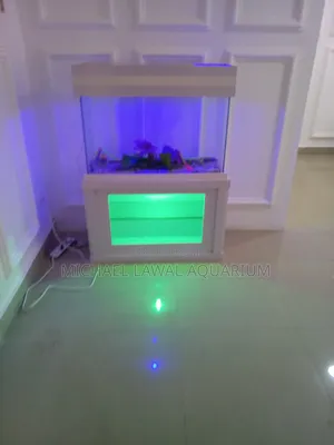 Aquarium Fish Tank