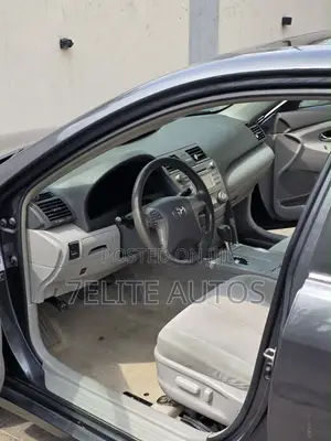 Toyota Camry 2010 Gray