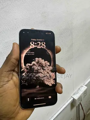 Apple iPhone 12 Pro Max 128 GB White