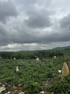 Plot of Land for Sale