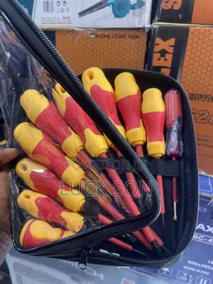 10 Set Screwdriver