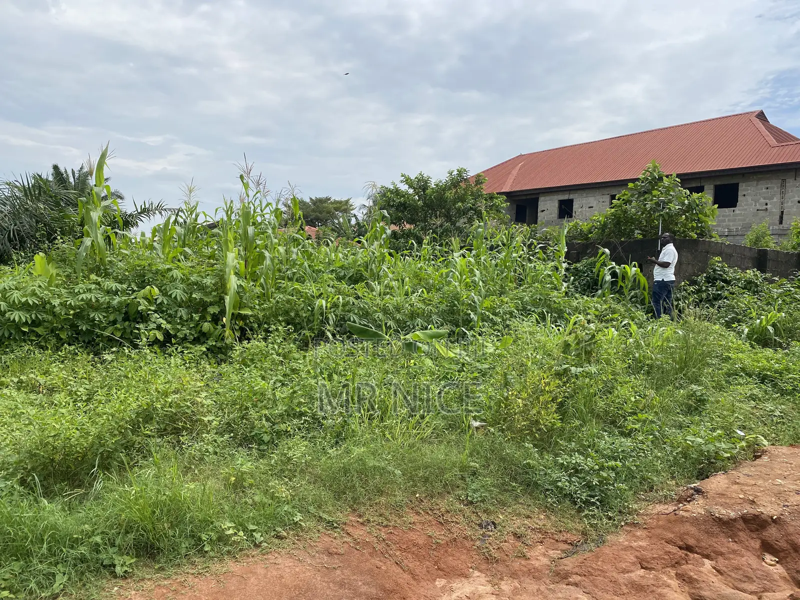 Land for Sell