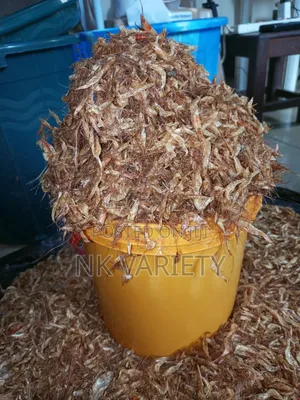 Clean Oron Crayfish – Sweet, Small Seed & Sand-Free (Asaba/Okpanam)