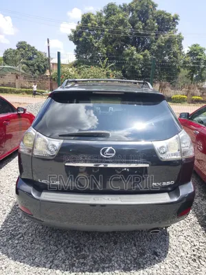 Lexus RX 2009 Gray
