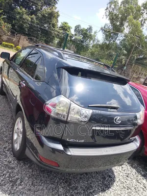 Lexus RX 2009 Gray