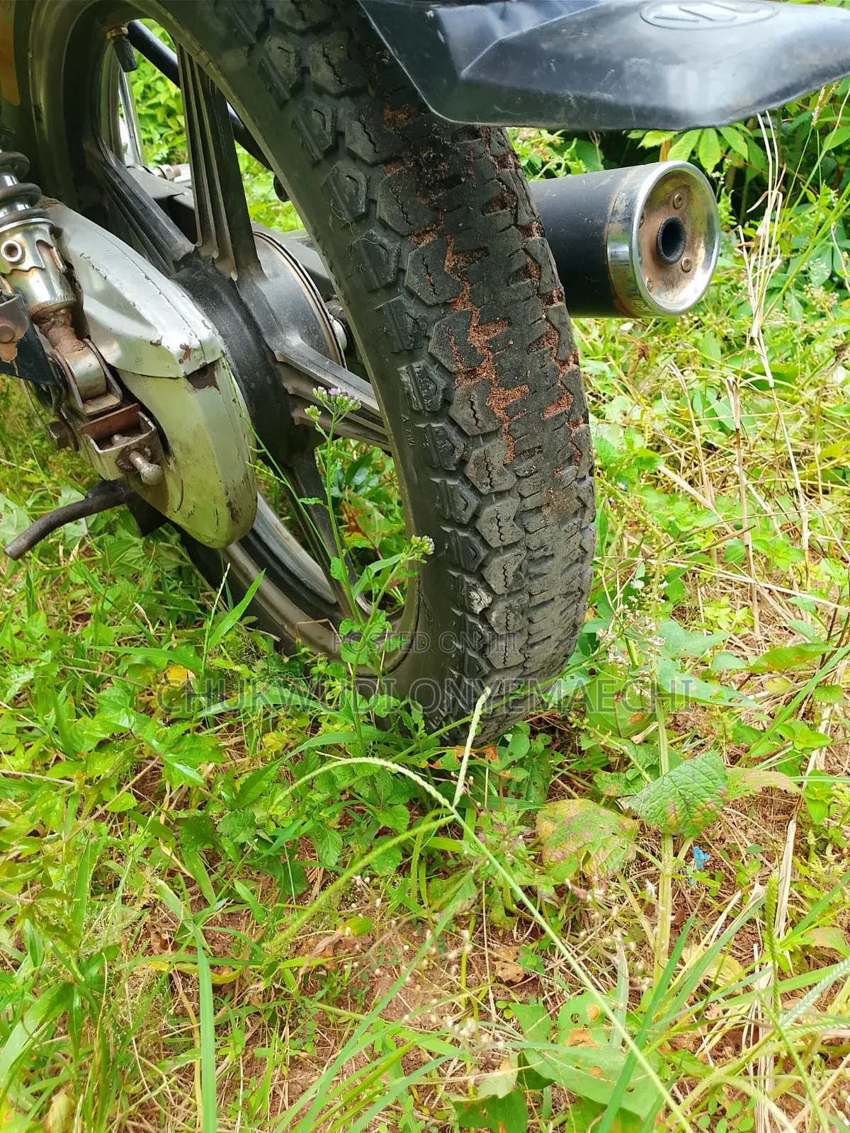 Kasea RC 125 2022 Red
