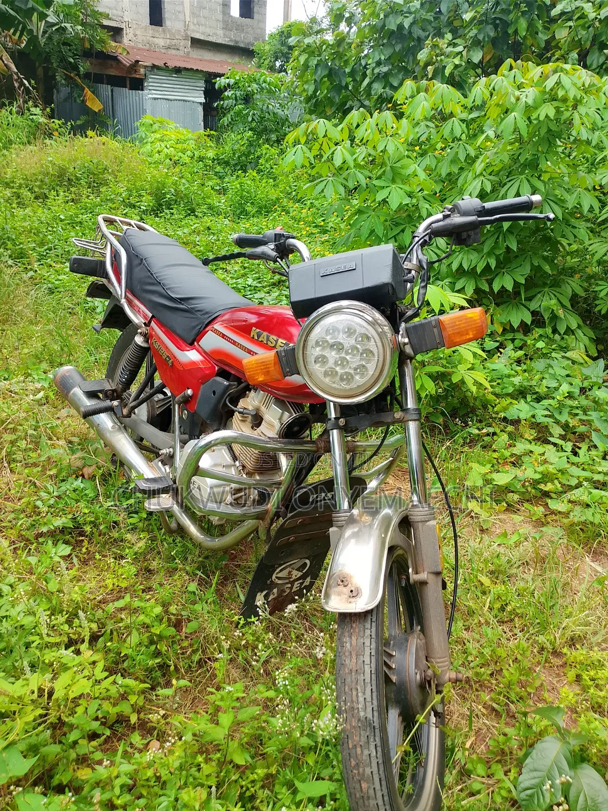 Kasea RC 125 2022 Red