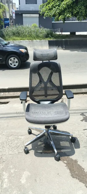 Orthopedic Chair Mesh Chair White