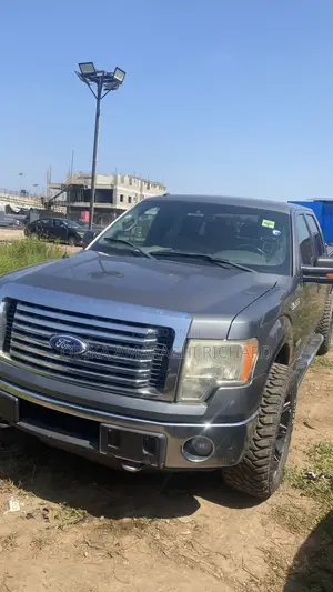 Ford F-150 XLT 2012 Gray