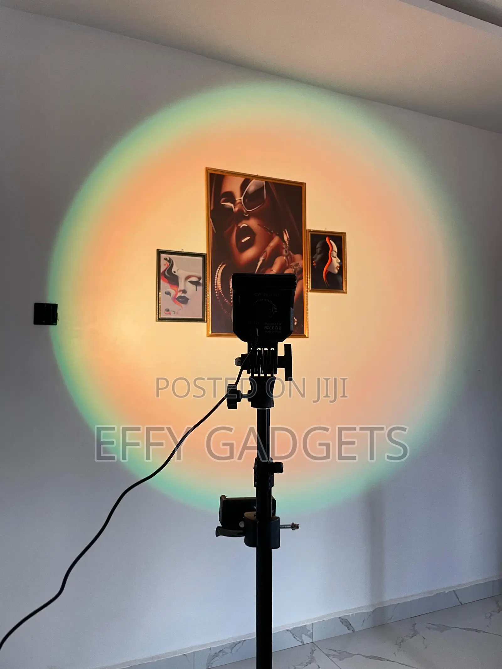 FSD Spotlight