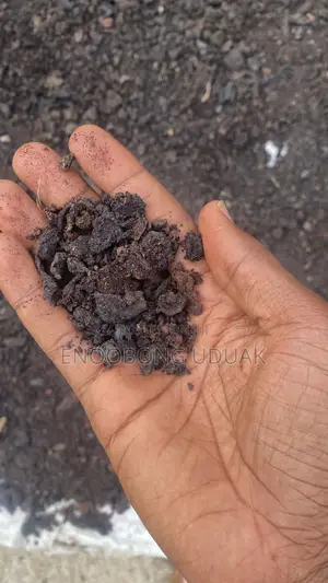 Biscuit Dough Waste