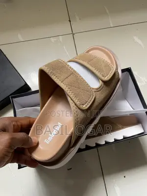 Timberland Palm