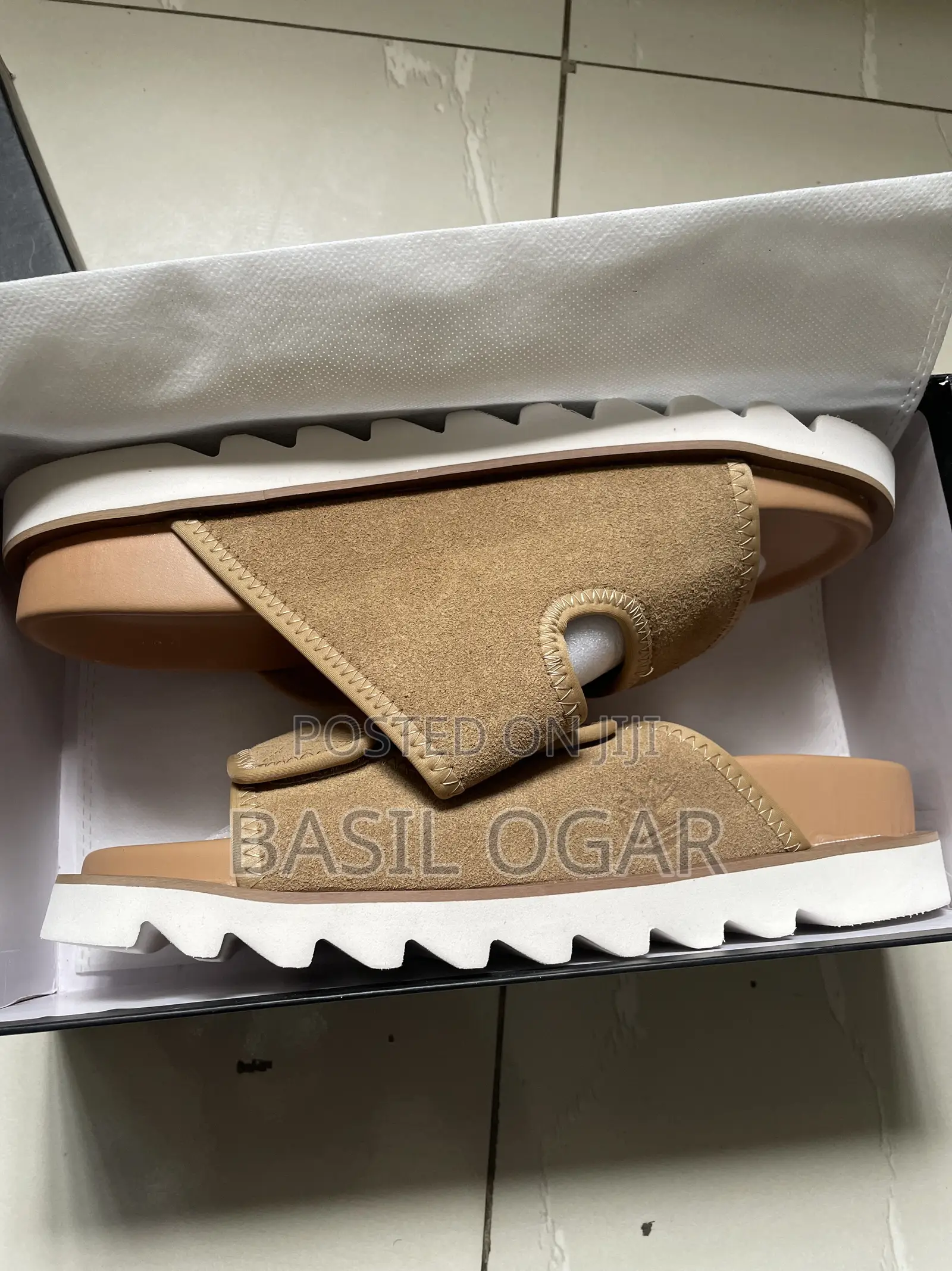 Timberland Palm