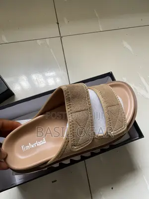 Timberland Palm